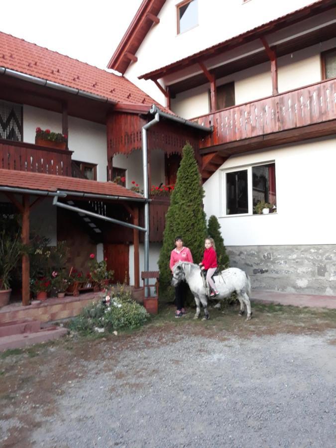 Bed and Breakfast Molnar Vendeghaz Praid Exteriér fotografie